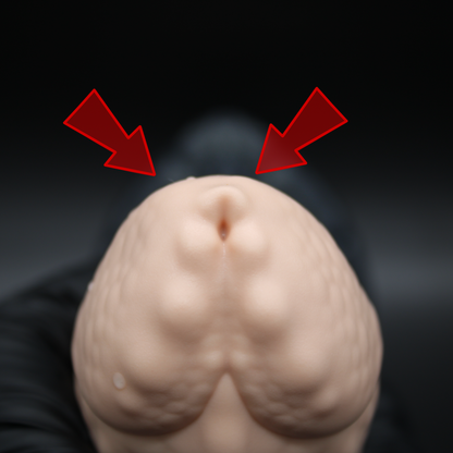 Dominic the Allidile - (Flop) XS / Firm