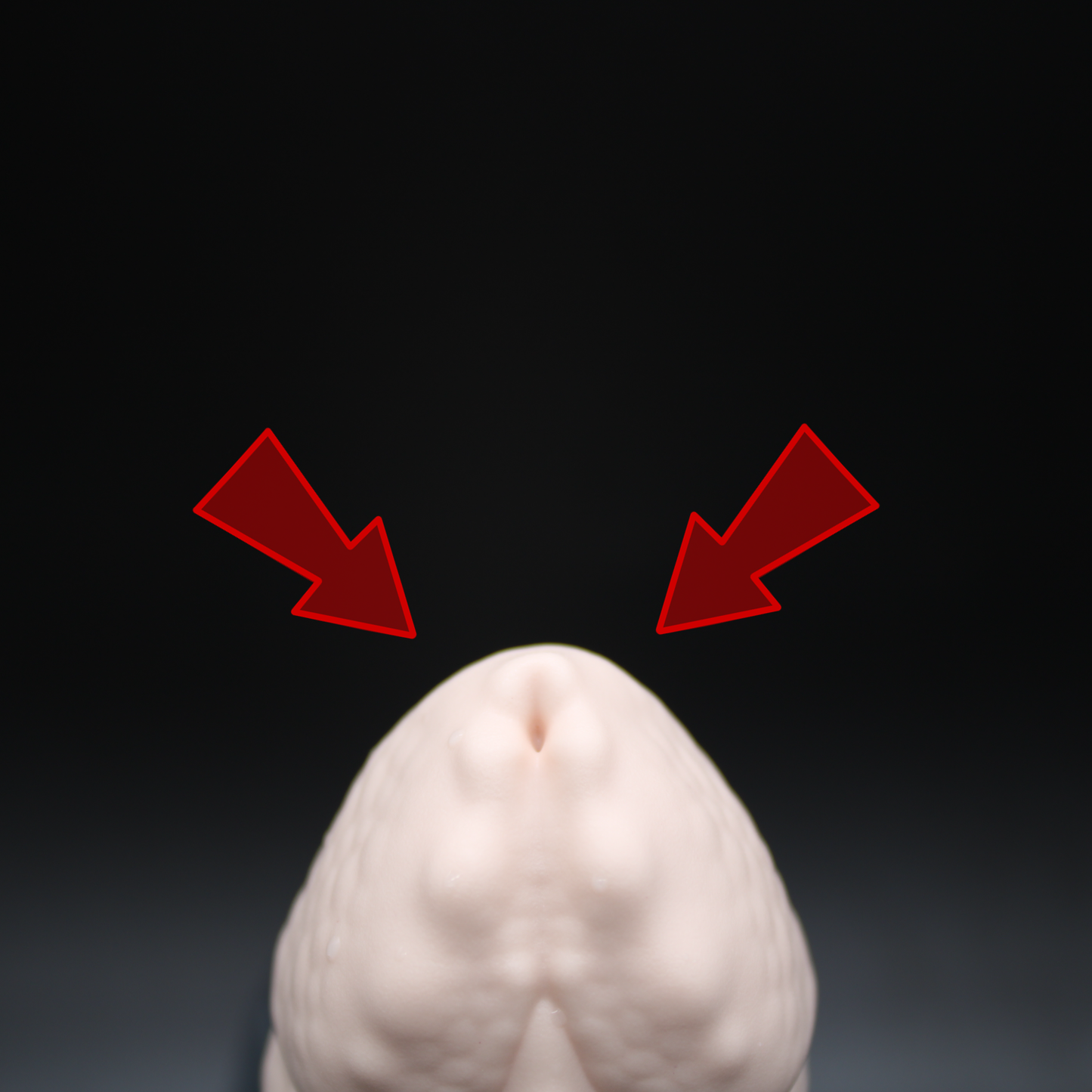 Dominic the Allidile - (Flop) XS / Firm