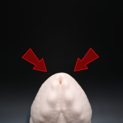 Dominic the Allidile - (Flop) XS / Firm