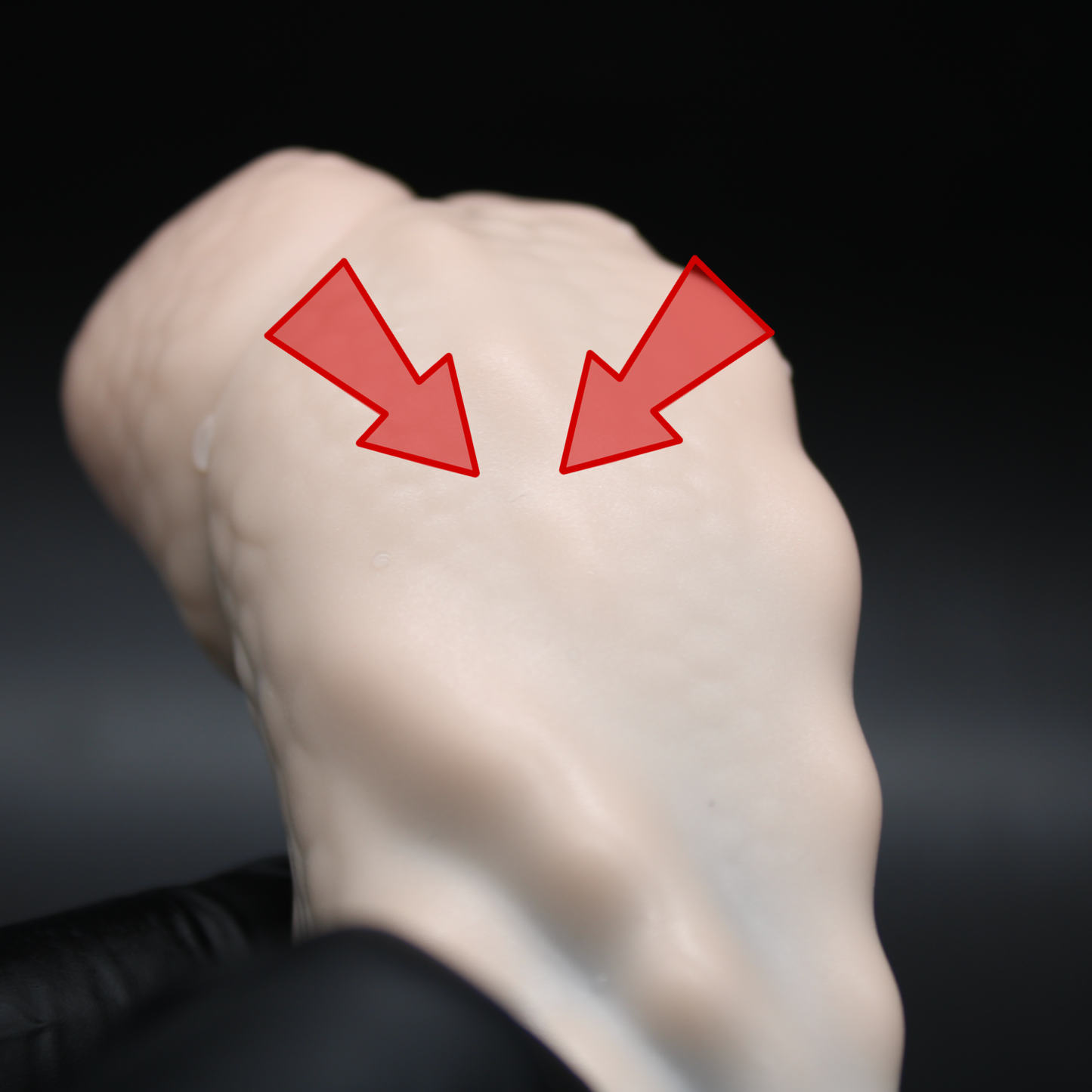 Dominic the Allidile - (Flop) XS / Firm