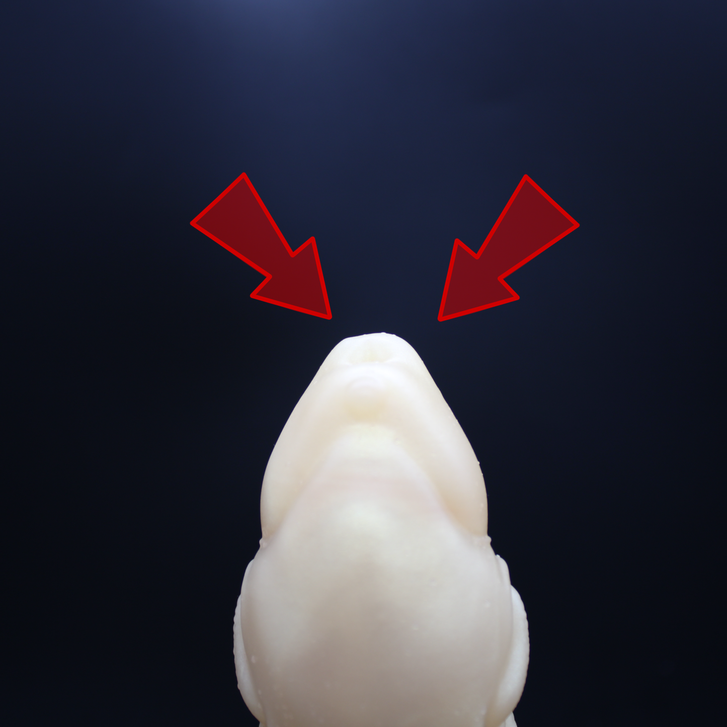 Mine the Kobold - (Flop) Large / Soft